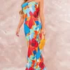 Logic Robe Bustier Longue Plissée Multicolore à Fleurs Abstraites Et Dos Bénitier