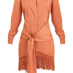 Robe Chemise Satinée Rouille à Détail Drapé Et Ourlet Frangé 9 Robe Chemise Satinée Rouille à Détail Drapé Et Ourlet Frangé -Pas Cher Robe Tendre Magasin 32895db5653cc9061866928846fc626f57ccd7f5 cnd7686 5